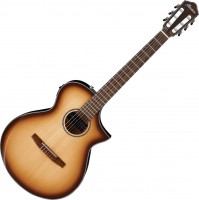 Photos - Acoustic Guitar Ibanez AEWC300N 