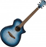 Photos - Acoustic Guitar Ibanez AEWC400 