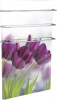 Photos - Heated Towel Rail Teplaja Kompanija HGlass Premium (HGlass GHT 6012 Premium 600x1200)