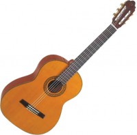 Photos - Acoustic Guitar Valencia CG170 