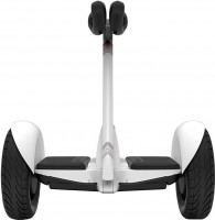 Hoverboard / E-Unicycle Ninebot Segway S 