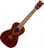 Photos - Acoustic Guitar Flight MUC-2 