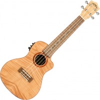 Photos - Acoustic Guitar Lanikai FM-CEC 