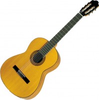 Photos - Acoustic Guitar Esteve 4ST SP 