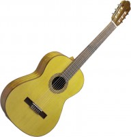 Photos - Acoustic Guitar Esteve 4STE SP 