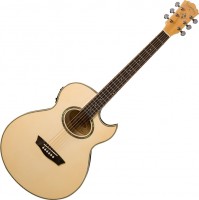 Acoustic Guitar Washburn EA20 