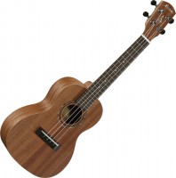 Acoustic Guitar Alvarez RU22C 
