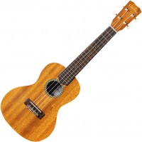 Photos - Acoustic Guitar Cordoba 20CM 