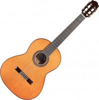 Photos - Acoustic Guitar Cordoba C9 Parlor 