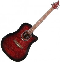 Photos - Acoustic Guitar FLYCAT C100 