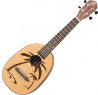 Acoustic Guitar Ortega RUPA5 