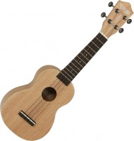 Photos - Acoustic Guitar Tanglewood TU1 