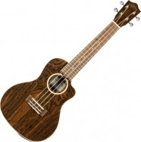 Acoustic Guitar Lanikai FB-CETC 