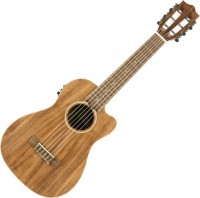 Acoustic Guitar Lanikai ACST-CEG 