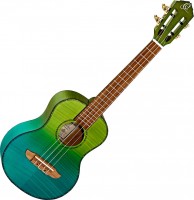 Photos - Acoustic Guitar Ortega RUPR 