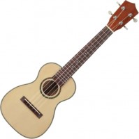 Photos - Acoustic Guitar Prima M340C 