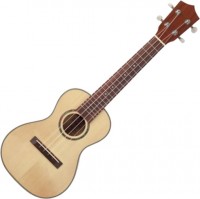 Photos - Acoustic Guitar Prima M310C 
