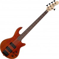 Photos - Guitar Godin Freeway 5 Active 