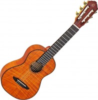Photos - Acoustic Guitar Ortega RGL18FMH 