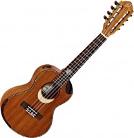 Photos - Acoustic Guitar Ortega ECLIPSE-TE8 