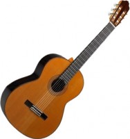 Photos - Acoustic Guitar Esteve 9C/B SP 