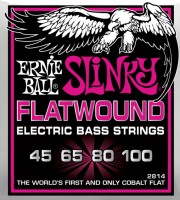 Photos - Strings Ernie Ball Slinky Flatwound Bass 45-100 