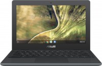 Photos - Laptop Asus Chromebook C204MA (C204MA-GJ0417)