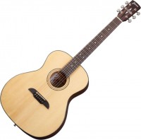 Photos - Acoustic Guitar Framus FG 14 SV 