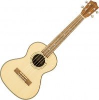 Photos - Acoustic Guitar Lanikai SPST-T 