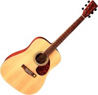 Photos - Acoustic Guitar Tenson D10 Dreadnought 