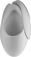 Photos - Urinal Villeroy & Boch Oblic 75310L 