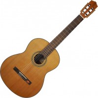 Photos - Acoustic Guitar Salvador Cortez CC-10 
