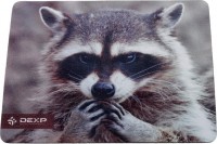 Photos - Mouse Pad DEXP OM-XS Racoon 