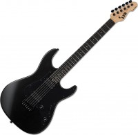 Guitar LTD SN-1000HT 