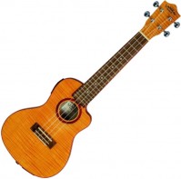Acoustic Guitar Lanikai FM-CETC 