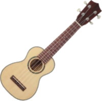 Photos - Acoustic Guitar Prima M380C 