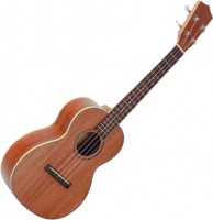 Photos - Acoustic Guitar Prima M200T 