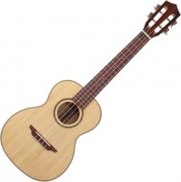Photos - Acoustic Guitar Prima M320T 