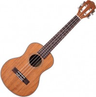 Photos - Acoustic Guitar Prima M381T 