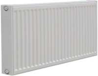 Photos - Radiator Sanica 22VK (300x1000)