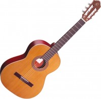 Photos - Acoustic Guitar Ortega R200 