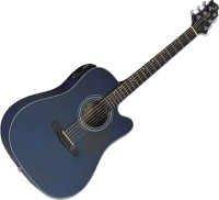 Photos - Acoustic Guitar Samick D4CE 