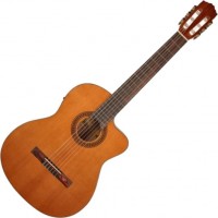 Photos - Acoustic Guitar Salvador Cortez CC-10CE 