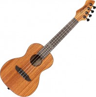 Photos - Acoustic Guitar Ortega RUHZ-MM 