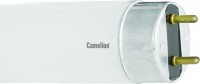 Photos - Light Bulb Camelion FT8 15W 6500K G13