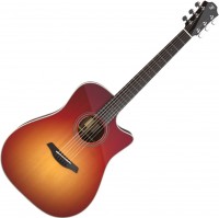 Photos - Acoustic Guitar Furch Green Dc-Sr Sunburst L.R. Baggs Spe 