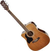 Photos - Acoustic Guitar Richwood RD-12-LCE 