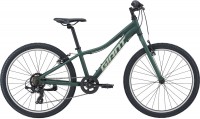 Bike Giant XTC Jr 24 Lite 2021 