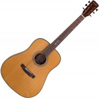 Photos - Acoustic Guitar Prima DSAG219 