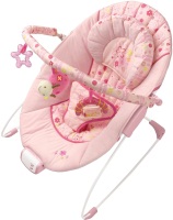 Photos - Baby Swing / Chair Bouncer Bright Starts 6911 